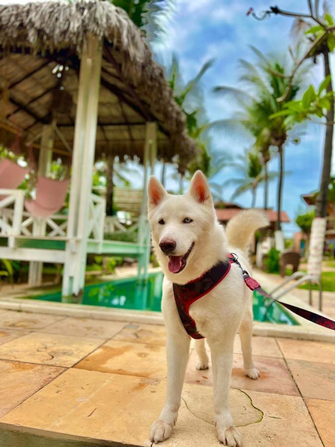 Ville Sweet Home Canoa Quebrada Exterior photo